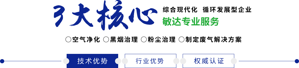 欧洲小逼逼被大鸡巴操敏达环保科技（嘉兴）有限公司